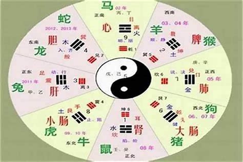 盛 五行|盛字的五行属性